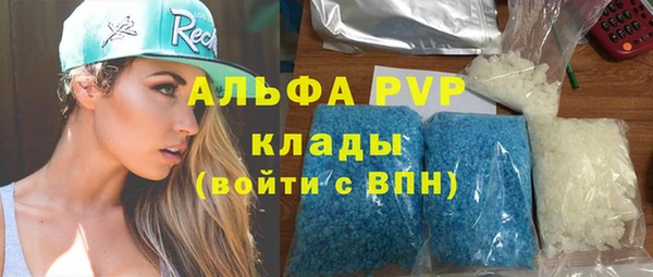 spice Аша