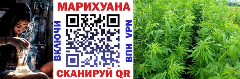 Бошки Шишки план Орехово-Зуево